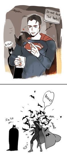 Bruce Wayne And Clark Kent, Dc Comics Facts, Batman Meme, Dc Comics Funny, Dc Comics Logo, 4 Panel Life, Superman X Batman, Superman X, Dc Comics Girls