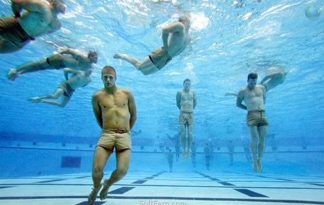 The technique Navy SEALs use to swim for miles without getting tired Navy Seal Training, 10 Life Lessons, Seal Training, Special Operations Command, Us Navy Seals, Military Training, Navy Seal, Special Operations, Satisfying Video