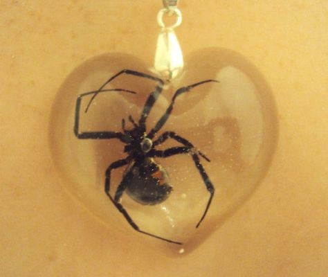 Real Black Widow Spider Clear Heart Resin Pendant by veronica1018, $32.99 Heart Resin, Oddly Specific, Widow Spider, Black Widow Spider, Spider Jewelry, Clear Heart, Creepy Crawlies, Creepy Cute, Resin Pendant