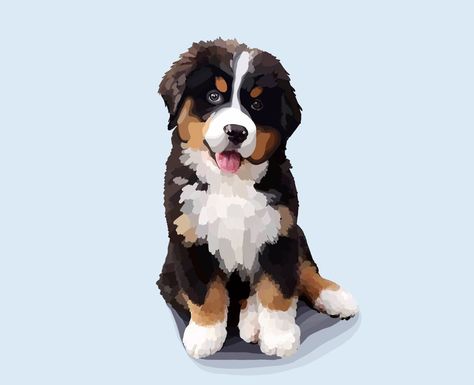 Bernese Mountain Dog Painting, Bernese Mountain Dog Drawing, Burmese Mountain Dogs, Dog Drawing Simple, Chai Coffee, Dog Background, Bernese Mountain Dog Puppy, Puppy Drawing, Canine Art