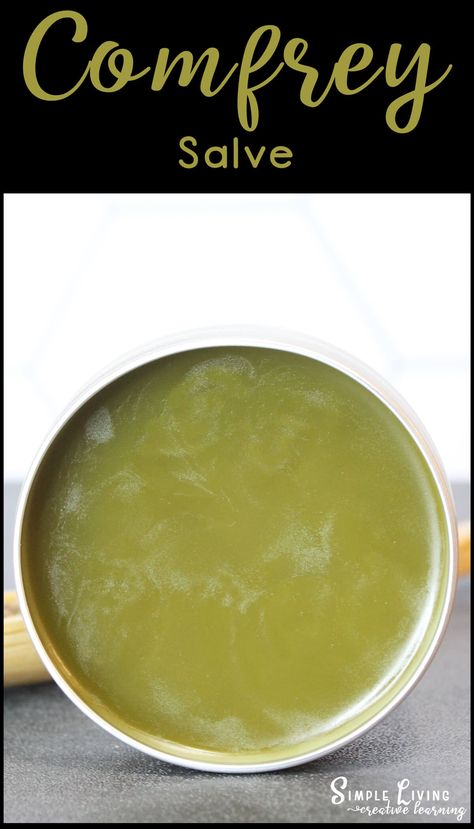 Comphrey Salve Recipes, Arnica Comfrey Salve, Usnea Salve, Herb Salve, Comfrey Salve Recipe, Comfrey Poultice, Rosemary Salve, Apothecary Recipes, Bumblebee Apothecary