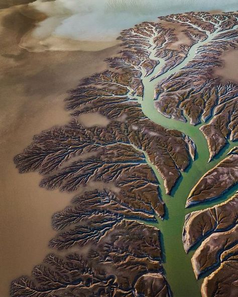 Fractals In Nature, Mysteries Of The World, River Delta, Aerial Drone, Colorado River, Last Fm, Drone Photography, Patterns In Nature, National Geographic