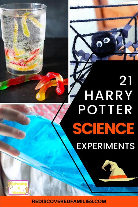 Even muggles can enjoy these Harry Potter science activities. Create your own potions class, explore magical creatures, or enjoy some herbology. You can even try your hand at charms and transfiguration! These magical experiments are perfect for use at home or in the classroom. They also make great Harry Potter party ideas. Click through for the instructions. Wands are optional. #harrypotterparty #harrypotteractivities #harrypotterfun #learningactivities Harry Potter Patronus Activity, Harry Potter Occupational Therapy, Witches And Wizards Activities, Harry Potter Stem Activities, Harry Potter Party Activities, Potions Class Harry Potter, Harry Potter Science, Spy Camp, Adrenal Reset