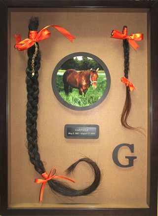 Horse Shadow Box Ideas, Horse Shadow Box, Horse Remembrance, Horse Memory, Horse Ribbons, Horse Memorial, Horse Hair Jewelry, Equestrian Decor, Horse Crafts