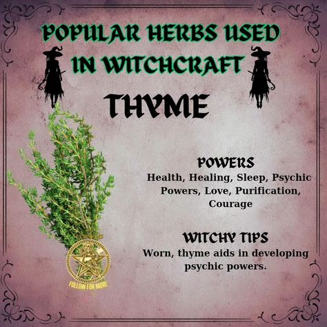 Common herbs used in witchcraft include: - **Sage**: Often used for cleansing and protection. - **Rosemary**: Associated with memory and fidelity, used in rituals for clarity. - **Lavender**: Known for promoting peace and tranquility, often used in love spells. - **Mugwort**: Used for enhancing dreams and psychic abilities. - **Basil**: Believed to attract wealth and protect against negativity. These herbs are valued for their symbolic meanings and practical applications in various magical ... Basil Spells, Sage Meaning Witchcraft, Herbs Meaning Witchcraft, Herbs Used In Witchcraft, Herb Meanings, Spiritual Herbs, Banishing Herbs, Medical Plants, Witchcraft Herbs