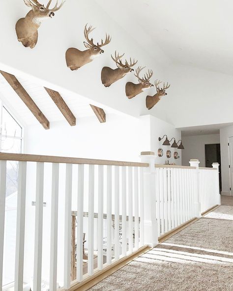 Great way to display deer heads / animal mounts -- Niña & Cecilia (@ninaandcecilia) on IG Room With Deer Mounts, Living Room With Deer Mounts, Deer Mounts In Living Room Farmhouse, Deer Mounts In Living Room, Deer Heads Living Room, Decorating With Deer Mounts, Deer Mount Decor, Deer Head Decor, Animal Mounts