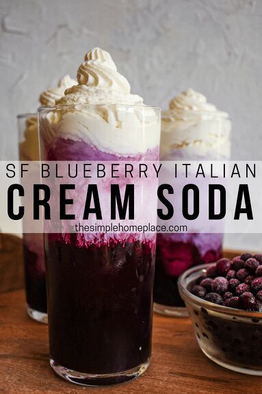 Sugar Free Blueberry Italian Cream Soda | Foodtalk Italian Cream Soda Recipe, Cream Soda Recipe, Homemade Cold Brew Coffee, Italian Cream Soda, Italian Cream, Homemade Soda, Italian Soda, Drink Recipes Nonalcoholic, Soda Recipe