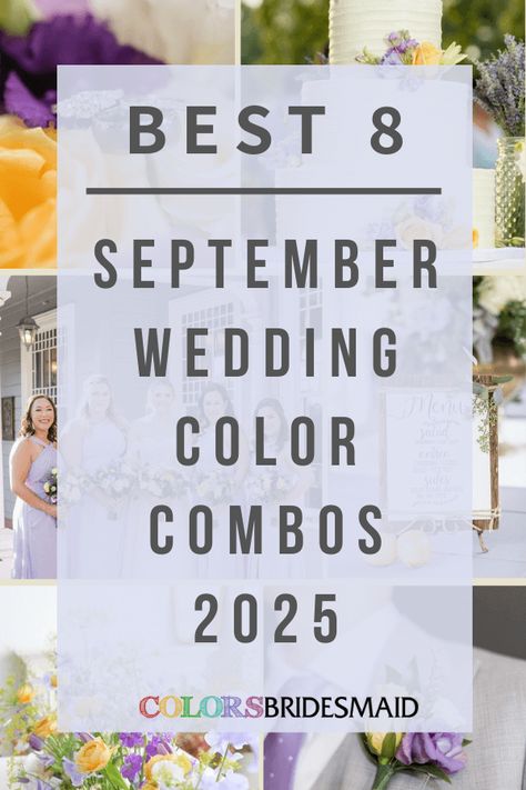 Plum and Pink for September Wedding Colors 2025, Plum Bridesmaid Dresses, Plum and Pink Wedding Flowers - ColorsBridesmaid Wedding Colors By Month, 2025 Bridesmaid Trends, 2025 Summer Wedding Colors, Wedding Party Color Ideas, Late Summer Wedding Colors Schemes, Wedding Color Trends 2025, Weddings 2025 Trends, Summer 2025 Wedding Colors, 2025 Wedding Color Trends