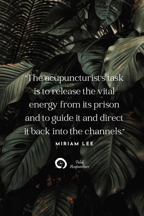 Friday inspiration from Miriam Lee, a pioneering acupuncturist in the United States who was responsible for acupuncture being legalized in California, and who founded the Acupuncture Association of America. The following quote is from Miriam’s student, Susan Johnson, LAc: “Miriam was perhaps best known for her work with... Acupuncture Quotes, Womens Retreat, Acupuncture, Natural Health, United States, No Response, Energy, California, Inspirational Quotes