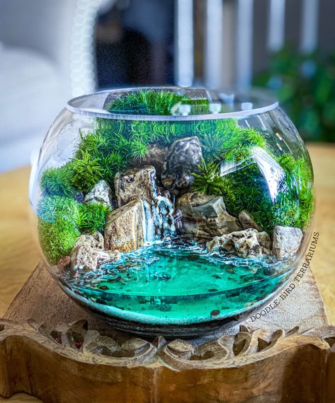 Ocean Cove Terrarium with Live Plants Terrarium Scene, Terrariums Diy, Water Terrarium, Tropical Terrariums, Taman Air, Plant Care Instructions, Aquarium Terrarium, Beautiful Terrariums, Plant Terrarium