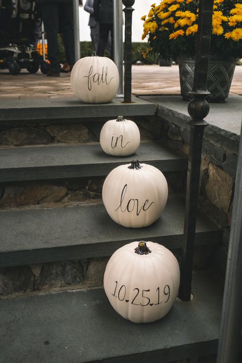 Fall Wedding Anniversary Ideas, Weddings With Pumpkins, Engagement Party October, Pumpkin Engagement Party, Fall Wedding After Party, Outdoor Fall Wedding Ideas October Decor White Pumpkins, October Engagement Party Ideas, Engagement Party Halloween, Outdoor Fall Engagement Party