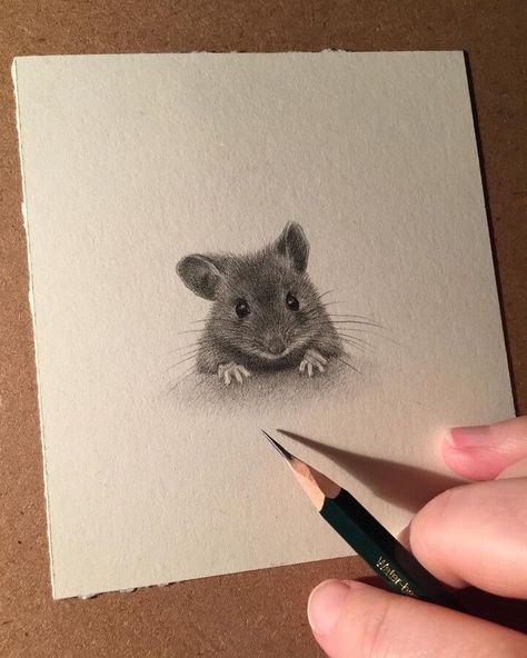 wildlife pencil drawing Drawing Ideas Easy Doodles, Maus Illustration, Drawing Ideas Creative, Mouse Sketch, Mouse Tattoos, Pencil Drawings Of Animals, Field Mouse, Mouse Drawing, Drawing Ideas Easy