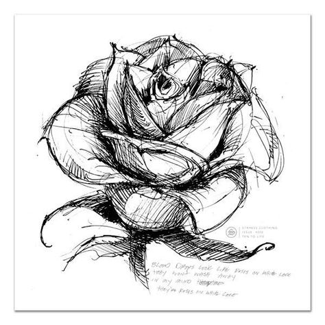 Derek Hess, Pen Art Drawings, Art Sketches Pencil, Flower Sketches, Sketchbook Art Journal, Art Painting Gallery, Pencil Art Drawings, Art Drawings Sketches Creative, Pen Art