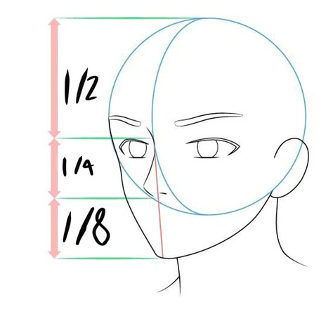 Anime Guidelines Face, Anime Face Shape Drawing, Face Anatomy Drawing Step By Step, Anime Head Guidelines, Anime Head Proportions, Anime Guidelines, Face Guidelines, Body Guidelines, Proportions Reference