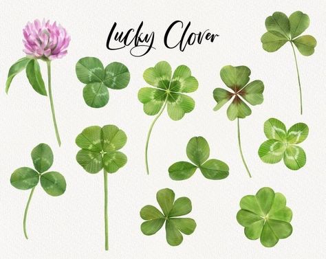 Clover Clipart, Planner Scrapbooking, Clover Tattoos, Watercolor Elements, Bridesmaid Bags, Watercolor Pumpkins, Blog Planner, Lucky Clover, Photo Overlays