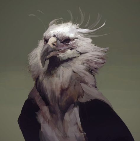 Animal References, Creature Concept Art, Animal Sketches, Creature Concept, 영감을 주는 캐릭터, Creature Design, Creature Art, Bird Art, Pretty Art