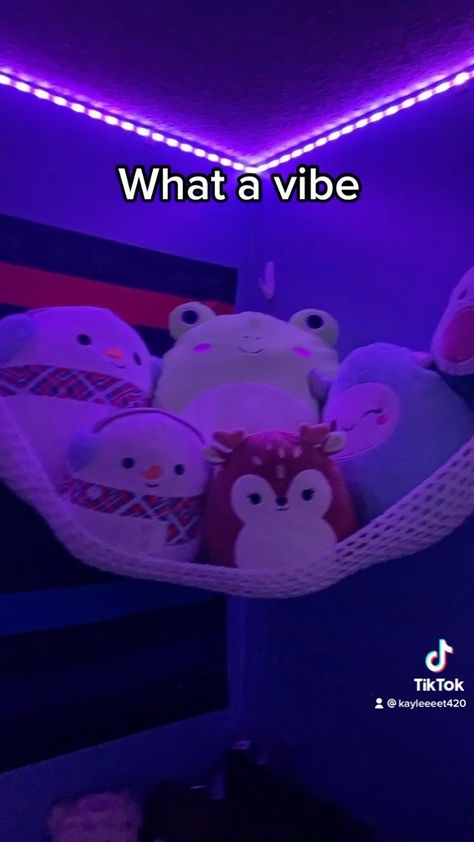 crochetbykaylee on Instagram: More💕squishmallows💕 #explore#crochet#squishmallows#squishmallow#handmade#hammock Squishmellow Hammock, Squishmallow Hammock, Squishmallow Net, Squishmallow Storage, Squish Mallows, Net Storage, Dorm Inspo, Future Room, 2024 Vision