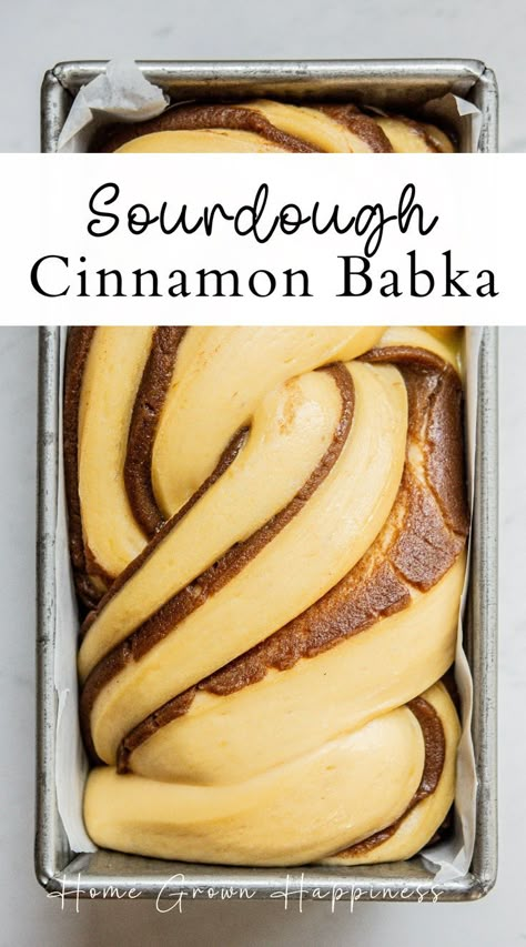 Indulge in the sweet, swirling flavors of my sourdough cinnamon babka. This step-by-step guide will help you create a stunning and delicious dessert that's perfect for sharing. Dive into sourdough baking with a twist! #SourdoughRecipes Cinnamon Babka Recipe, Sourdough Brioche, Cinnamon Babka, Sourdough Desserts, Sourdough Starter Discard Recipes, Starter Discard Recipes, Make Sourdough Bread, Brioche Dough, Easy Sourdough Bread Recipe