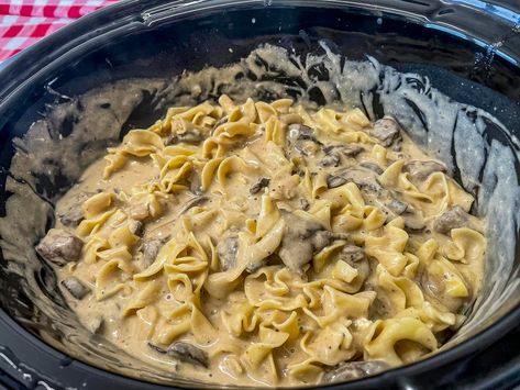 Stir the cooked egg noodles into the slow cooker just before serving. Venison Crockpot Stroganoff, Venison And Noodles Crock Pot, Deer Meat And Noodles, Crockpot Venison Chops, Slow Cooker Venison Stroganoff, Slow Cooker Deer Roast, Deer Slow Cooker Recipes, Venison Chipped Steak Recipes, Venison Steak Crockpot Recipes