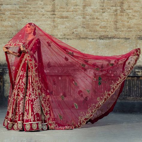 Red Bridal Lehenga Pakistani, Wedding Guest Outfit Ideas, Ali Xeeshan, Bride Photos Poses, Latest Bridal Lehenga, Desi Wedding Dresses, Red Wedding Dress, Asian Bridal Dresses, Bridal Hair Buns