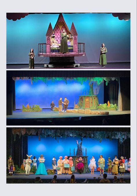 Shrek Musical Set, Shrek Musical, Shrek Costumes, Shrek Jr, Shrek Costume, Shrek The Musical, Theatre Education, Set Ideas, Show Ideas