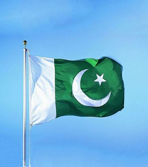 Pakistan Flag Hd, Pakistani Wallpaper, Pakistan Flag Wallpaper, Ramzan Images, Pakistani Flag, August Wallpaper, Live Fish Wallpaper, January Art, Galleries Architecture