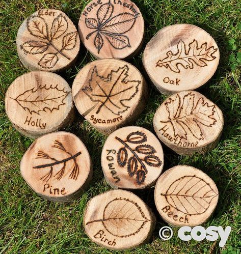 Nature Display, Woodworking Software, Forest School Activities, Wood Burn Designs, Wood Carving For Beginners, Homeschool Crafts, Wood Slice Art, Dremel Wood Carving, Wood Burning Crafts