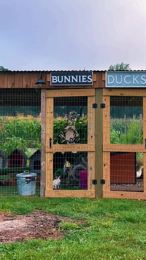 Bunny village tour🐰💗 | Cute Rabbit | Cute Rabbit · Original audio Bunny Village, Rabbit Cages Outdoor, Rabbit Breeds, Rabbit Cages, Funny Farm, Bunny Rabbits, Backyard Fences, Healthy Pets, Cute Rabbit