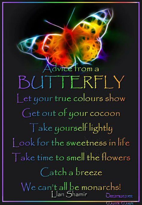 Advice from a BUTTERFLY Mother Nature Quotes, Afternoon Quotes, Butterfly Quotes, Happy Morning Quotes, Buddhist Quotes, Life Guide, Advice Quotes, Nature Quotes, Spirit Guides