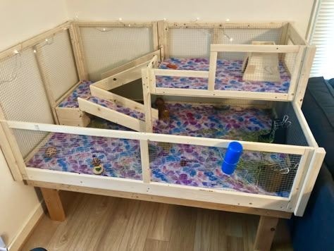 Homemade Guinea pig cage Diy Ginny Pig Cage, Genie Pig Cage Ideas, Guine Pig Cage Ideas, Guine Pig Cage, Ginny Pig Cages Ideas, Guniea Pig Indoor Cage, Guinea Pig Toys Diy Homemade, Diy Guinea Pig Cage Furniture, Guinea Pig Cage Ideas Indoor