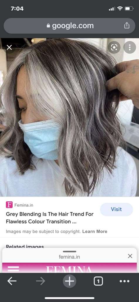 Brunette With Gray Balayage, Baylage Grey Hair Highlights, Hair Highlights For Graying Hair, Blending In Grey Hair Dark Brown, Gray And White Highlights, Grey Blonde Highlights On Brown Hair, Fall Hair For Graying Hair, Natural Gray With Lowlights, Black Grey Hair Highlights