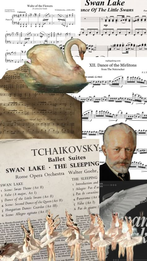 #Tchaikovsky #ballet #music #balletdancer Ballet Wallpaper, Ballet Music, Classical Music Composers, Piano Art, Band Director, Classical Musicians, Russian Ballet, Animal Study, Book Wallpaper