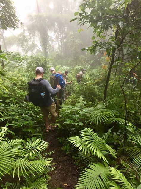 Hiking through the lush jungle Hiking Summer, Jungle Hike, Vacation Activities, Cycling Touring, Mendoza, Hiking Trip, Family Adventure, Phuket, Belize