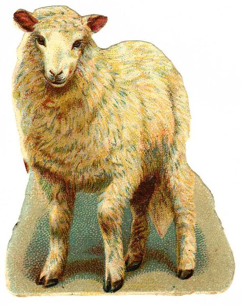 Victorian Graphics, Victorian Ephemera, Victorian Scrapbook, Craft Printables, Easter Graphics, Baa Baa Black Sheep, Vintage Easter Cards, Vintage Animals, Peter Cottontail