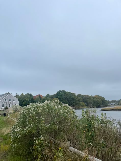 Cape Cod Autumn, New England Fall Aesthetic, Old Money New England, Unicorns Aesthetic, Coastal Trees, Cape Cod Fall, New England Spring, Old Cape Cod, Coastal Autumn