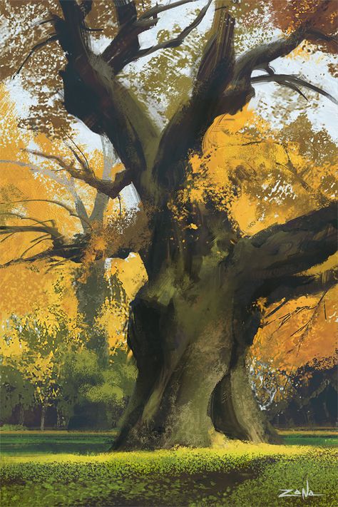 Eytan Zana, Rustic Painting, Tree Study, Art Landscapes, Landscape Concept, Tree Illustration, Tree Drawing, Environment Design, Environment Concept Art