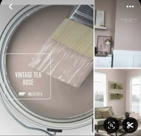 Pink Paint Colors, Behr Paint Colors, House Paint Interior, Paint Color Inspiration, House Color Palettes, Colors For Home, Pink Paint, Big Girl Rooms, Tea Rose