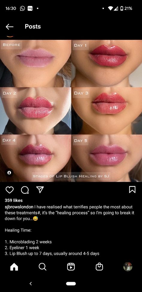 Lip Blushing Black Women, Lip Blush Training, Lip Blush Quotes, Lip Blush, Lip Blushing Tattoo Colors Natural, Lips Blush Tattoo, Blush Contour, Eyebrows, Black Women