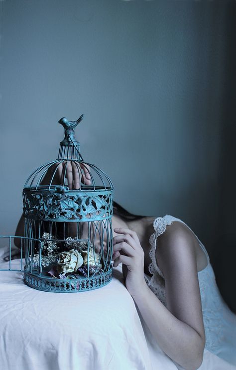 Bird cage #photography Bird Cage Photography, Birds In Cage Photography, Bird In A Cage Aesthetic, Caged Bird Aesthetic, Birdcage Aesthetic, Caged Aesthetic, Bird Cage Aesthetic, Johanna Barker, Andrea + Core + Aesthetic