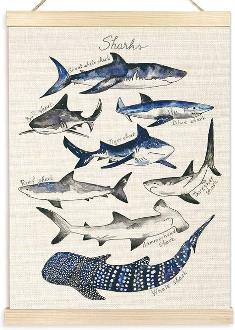 Amazon.com: Ecezatik Sharks Poster Hanger Frame, Shark Wall Art, Beach Room Decor, Coastal Home Decor, Shark Hanging Wall Decor for Classroom Nursery Boys Room, Shark Gifts for Shark Lovers, 12x16