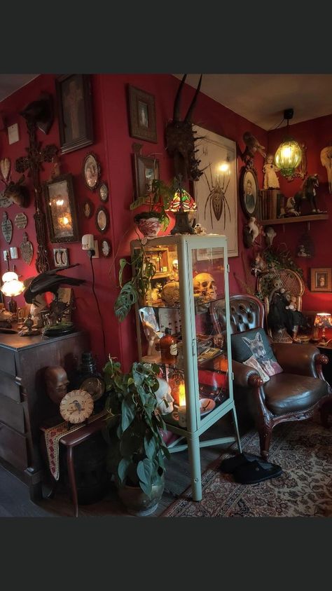 Living Room Maximalist Aesthetic, Shared Appartement, Spooky Interior Design, Creepy Living Room, Spooky Apartment, Day Bed Room, Spooky Bedroom Decor, Cozy Kitchen Ideas, Spooky Bedroom