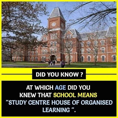 Random History Facts, Weird But True Facts, Happy Facts, Science Facts Mind Blown, Facts Science, Science Trivia, False Facts, Daily Fun Facts, Physiological Facts