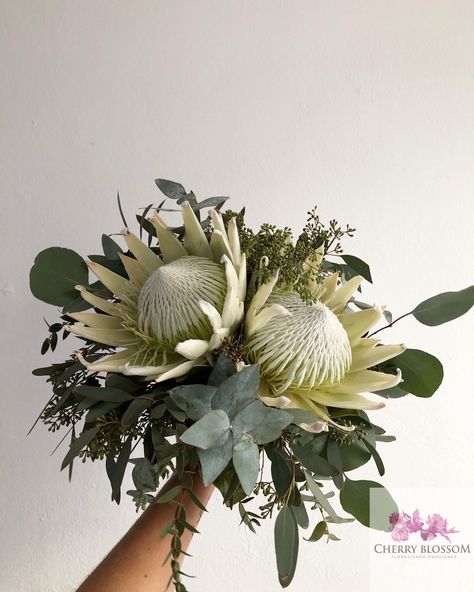 Eucalyptus Varieties, Protea Wedding Bouquet, King Protea Bouquet, Beach Bridal Bouquet, Weddings At The Beach, Tropical Bridal Bouquet, Protea Wedding, Protea Bouquet, King Protea