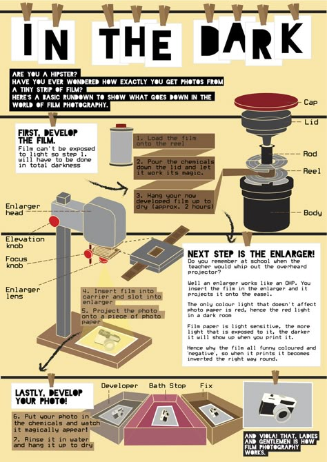 Dark room photography developing film infographic Film Infographic, Photography Dark Room, Developing Film, Photography Classroom, Developing Photos, Dark Room Photography, Film Camera Photography, Photography Dark, Room Photography