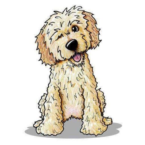 Labradoodle Illustration, Labradoodle Painting, Labradoodle Drawing, Labradoodle Art, Dragonfly Drawing, Dog Pop Art, Stick Figure Drawing, Drawing Exercises, Rock Painting Designs