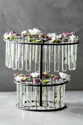 Laboratory Vase--so interesting! Laboratory Design, Science Decor, Friday Favorites, Deco Floral, Test Tube, Arte Floral, Chemistry, Flower Power, Interior And Exterior