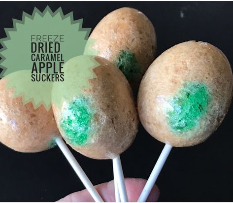 Freeze Drying Apples, Freeze Dried Halloween Candy, Freeze Dried Meals, Freeze Dried Caramel Apple, Freeze Dried Candy Display, Caramel Apple Suckers, Freeze Dried Candy, Best Freeze Dried Candy, Caramel Apple Pops