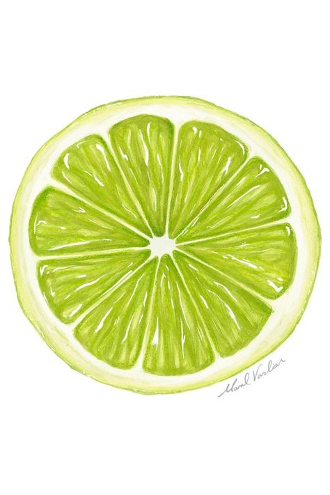 Lime Slice Painting, Lime Illustration Graphic Design, Fruit Slices Drawing, Fruit Slice Painting, Procreate Fruit Drawing, Sliced Fruit Drawing, Fruit And Vegetable Drawing, Lime Slice Drawing, Lime Drawings Fruit