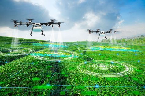 Agriculture Drone, Smart Farm, Precision Agriculture, Farm Activities, Remote Sensing, Drone Technology, Sustainable Agriculture, Cool Countries, Risk Management