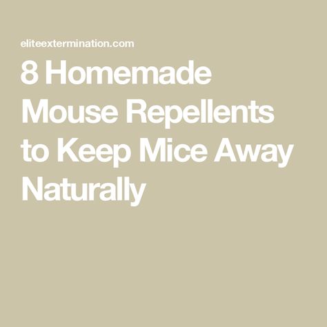 8 Homemade Mouse Repellents to Keep Mice Away Naturally Diy Mouse Repellent Homemade, Homemade Mouse Repellent, Natural Mouse Repellent, Natural Ways To Get Rid Of Mice, Diy Rodent Repellent, Keep Mice Out Of House, Natural Mouse Repellent For Home, How To Keep Mice Out Of Your House, How To Get Rid Of Mice